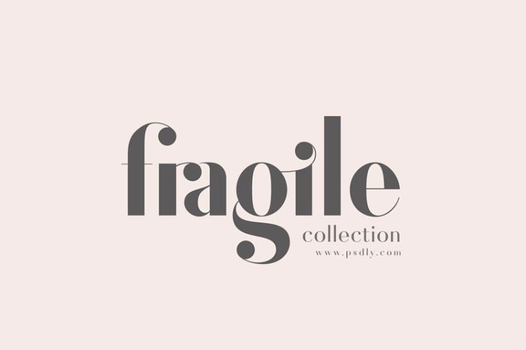 Fragile Collection (Font Bundle)!