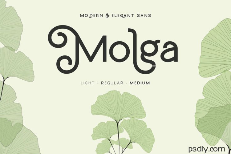 Molga Font Family!