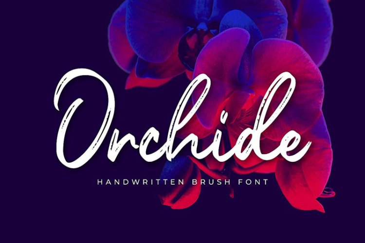 Orchide – Handwritten Brush Font
