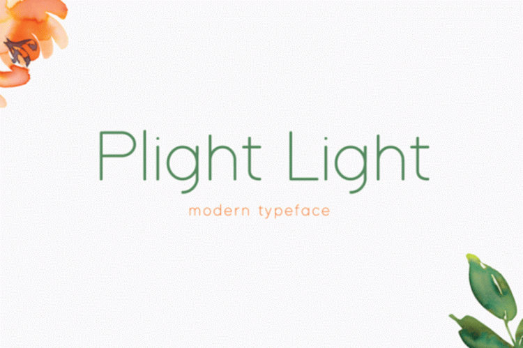 Plight Light Font