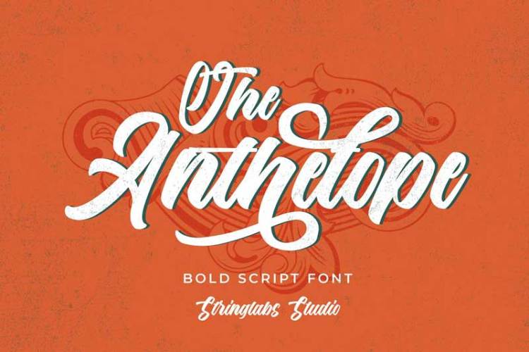 The Anthelope – Retro Script Font 4713237!