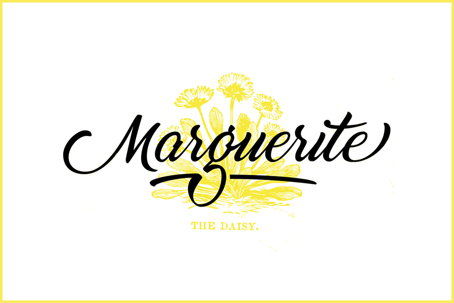 Marguerite Script Font Free