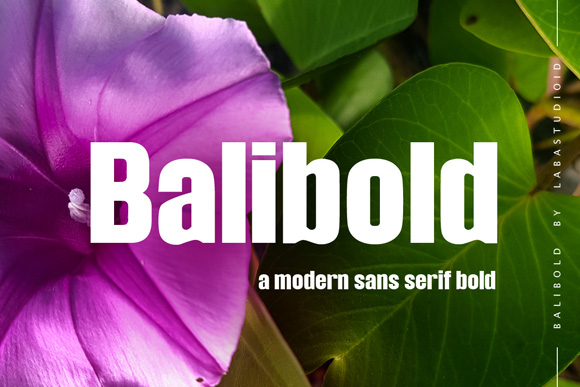 Balibold Sans Serif Typeface