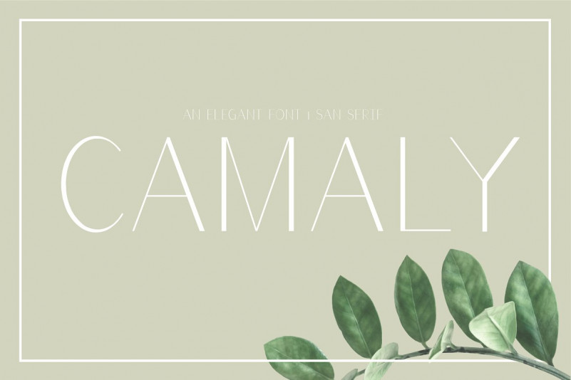 Camaly Sans Serif Font