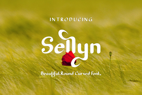 Sellyn Sans Font