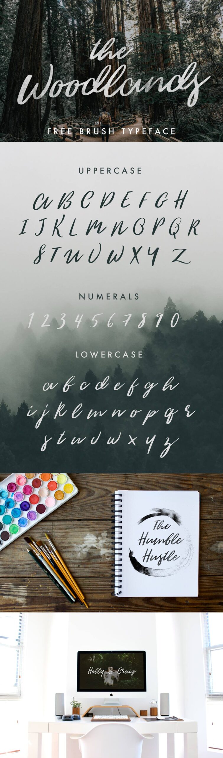 The Woodlands Font Free