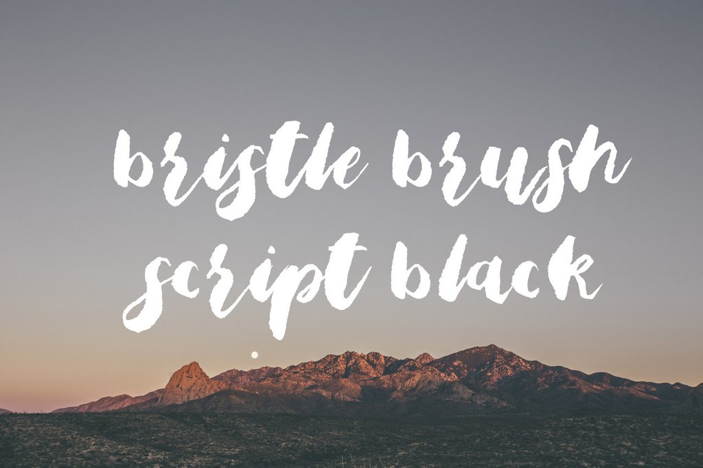 Bristle Brush Script Black Font Free