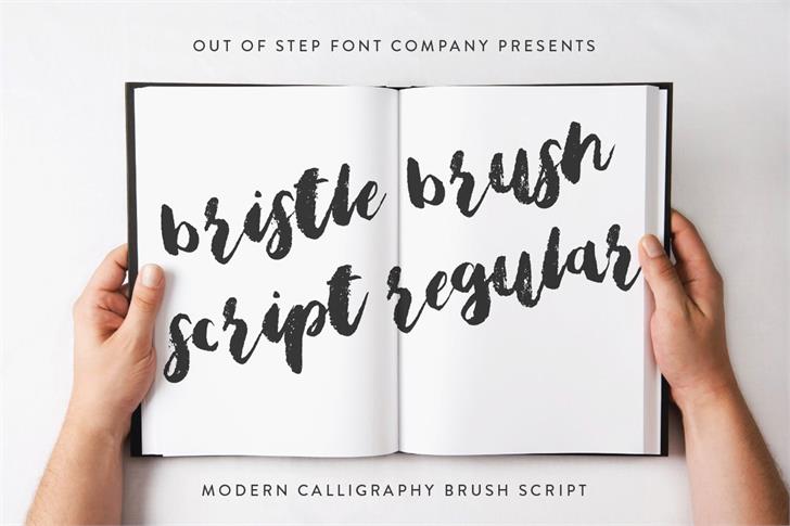Bristle Brush Script Font Free