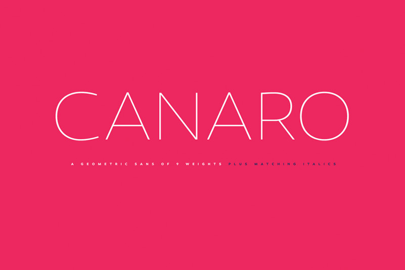 Canaro Sans Font Family