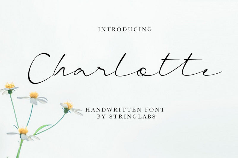 Charlotte Handwritten Font