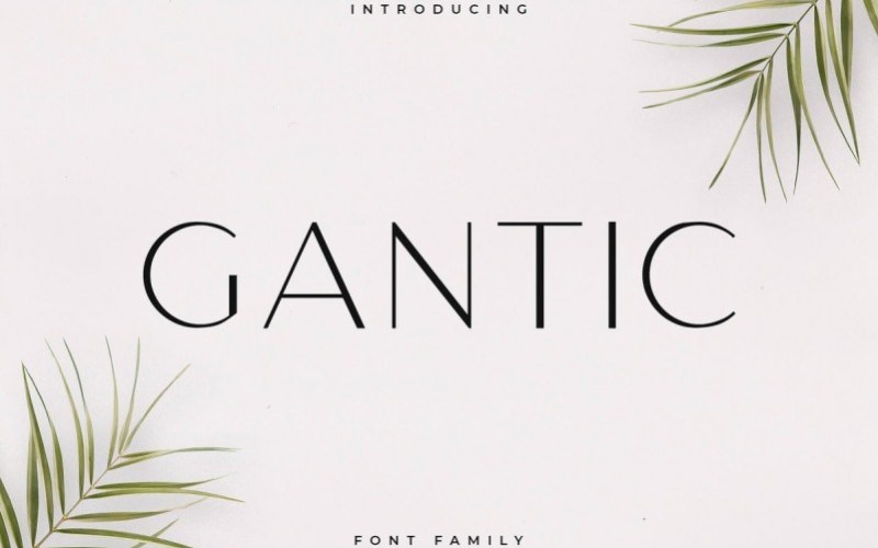 Gantic Sans Serif Font Family