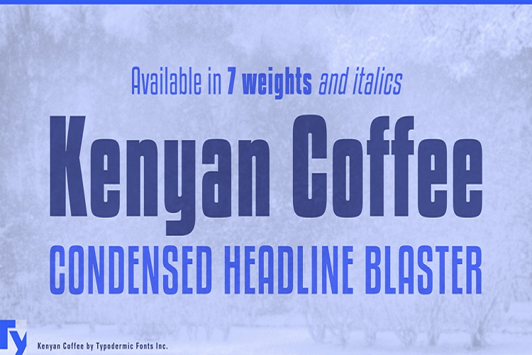 Kenyan Coffee Sans Font Family