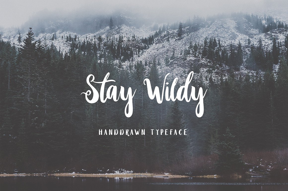 Stay Wildy Script Font Free