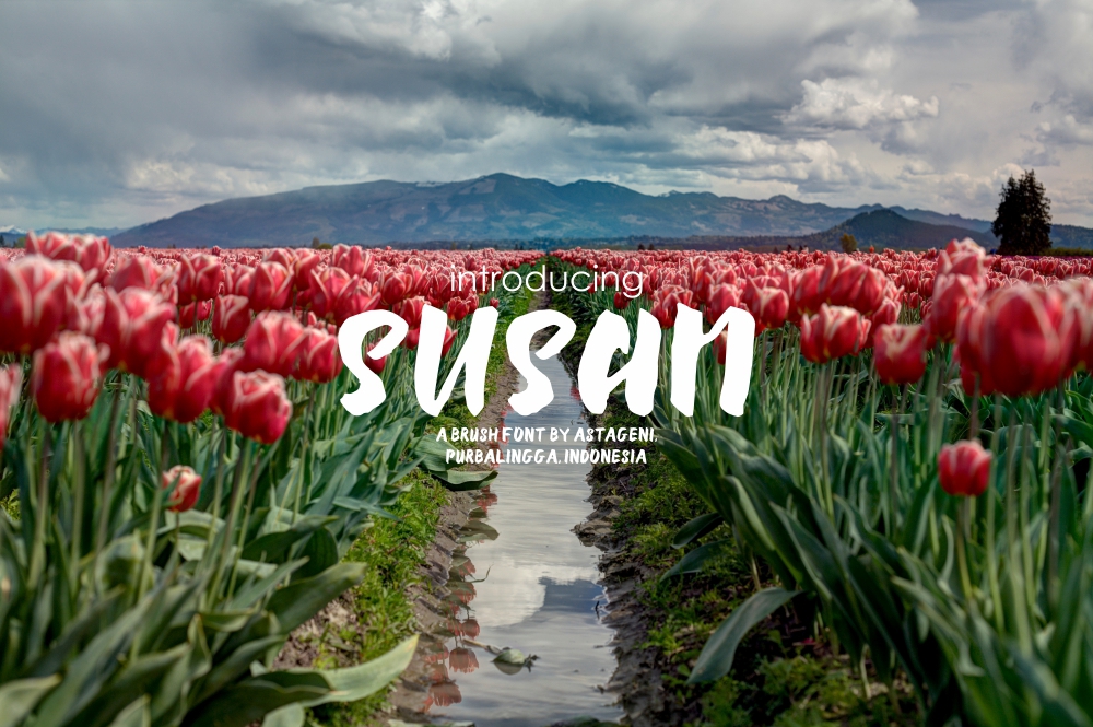 Susan Brush Font Free