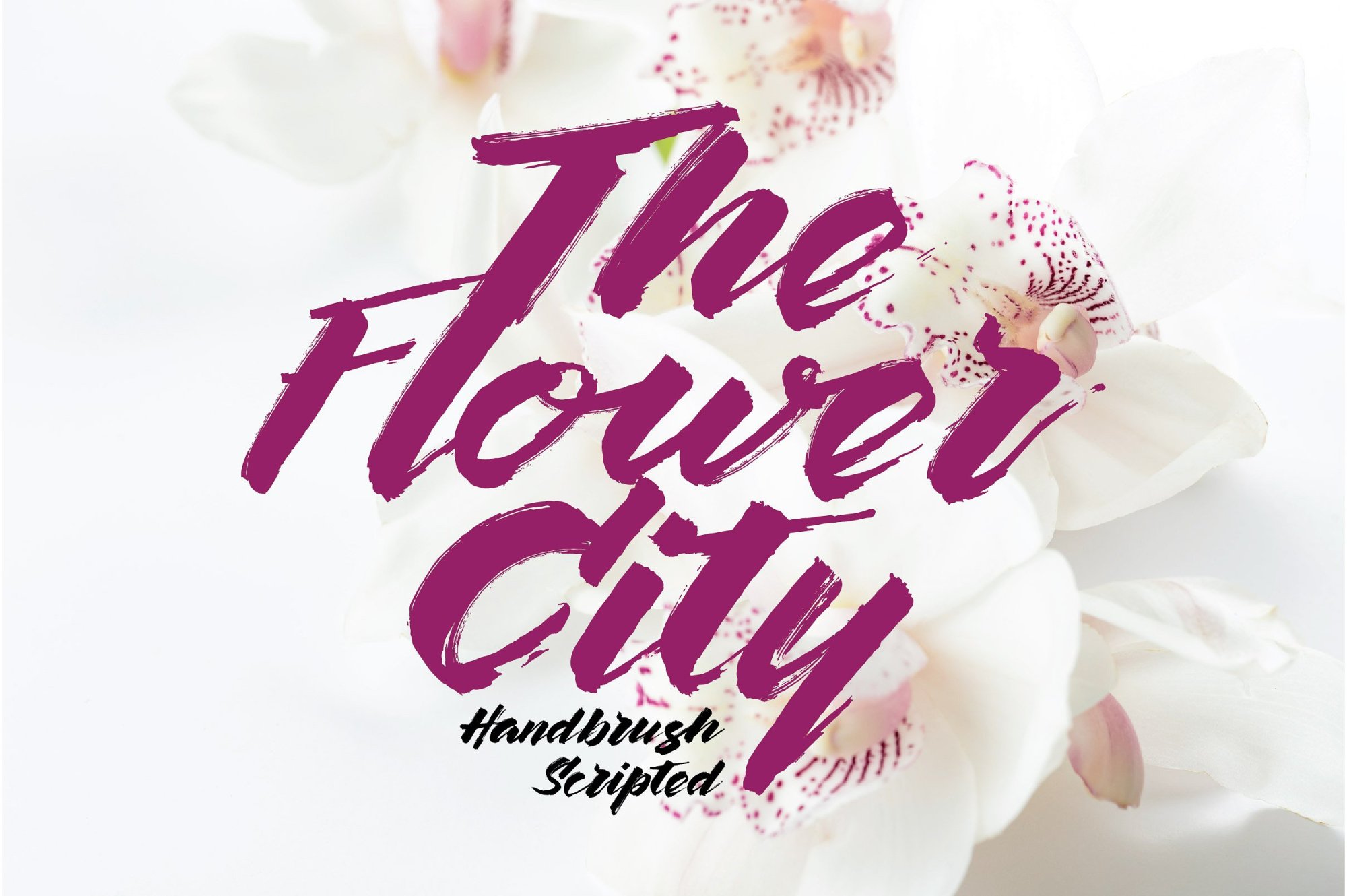 The Flower City Script Font Free