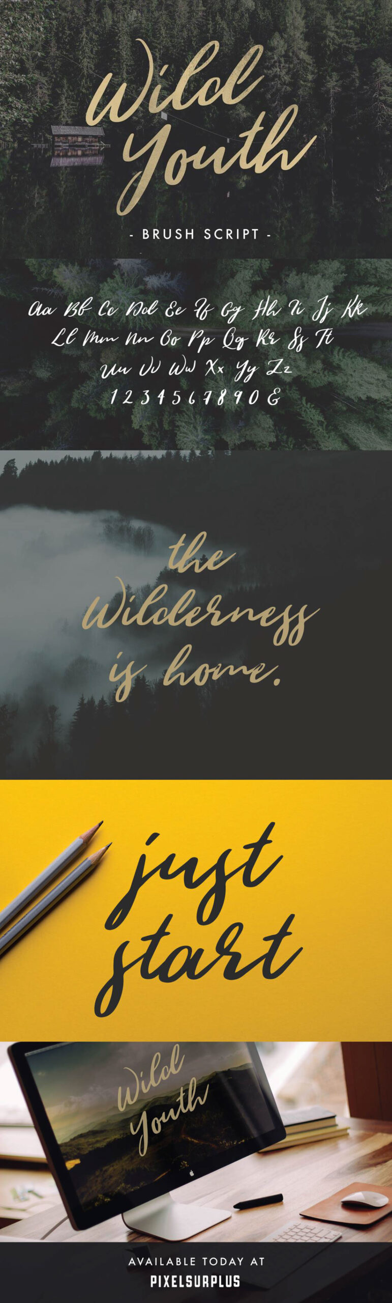 Wild Youth Font Free