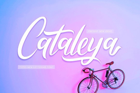 Cataleya Calligraphy Font