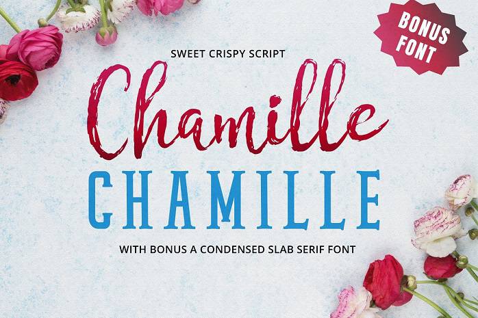 Chamille Font Duo