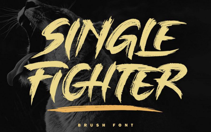 Single Fighter Brush Font