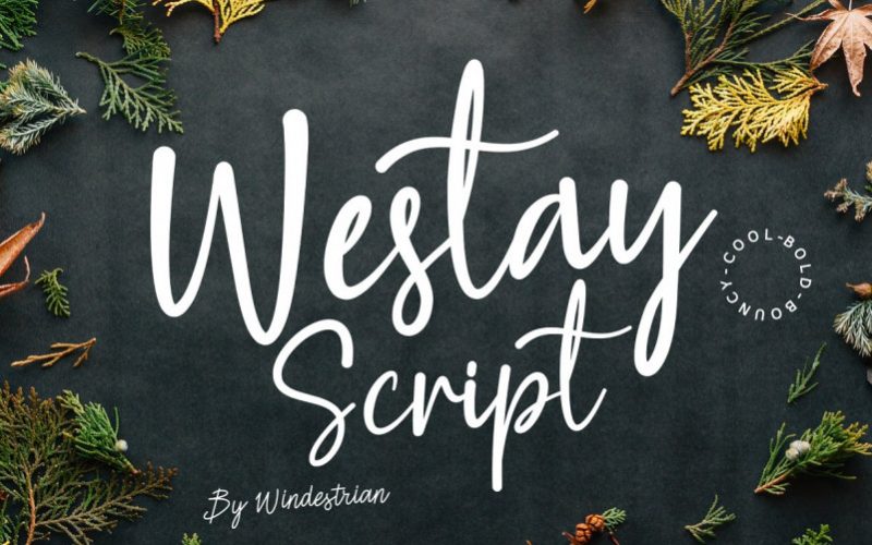 Westay Bold Script Font