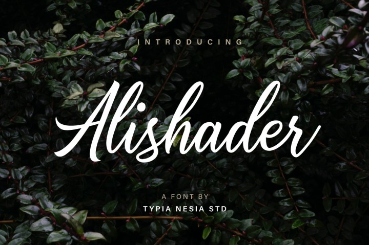 Alishader Script Free Download