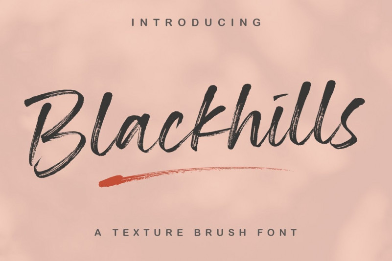 Blackhills Textured Brush Font