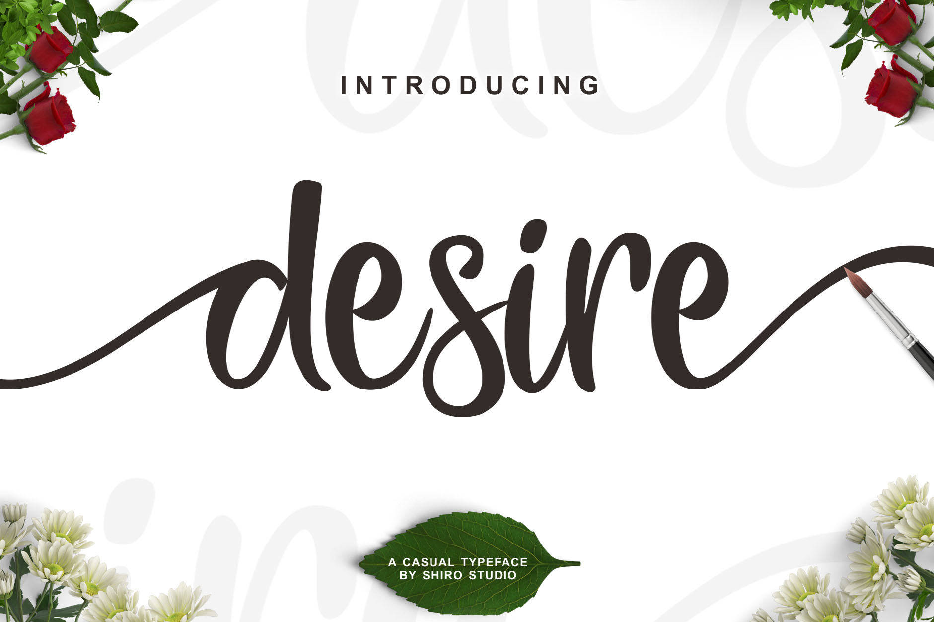 Desire Script Font Free