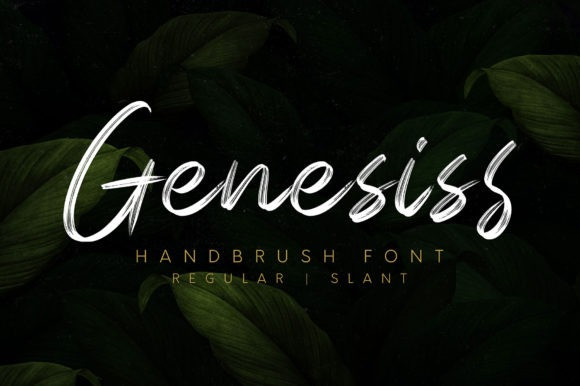 Genesiss Brush Font