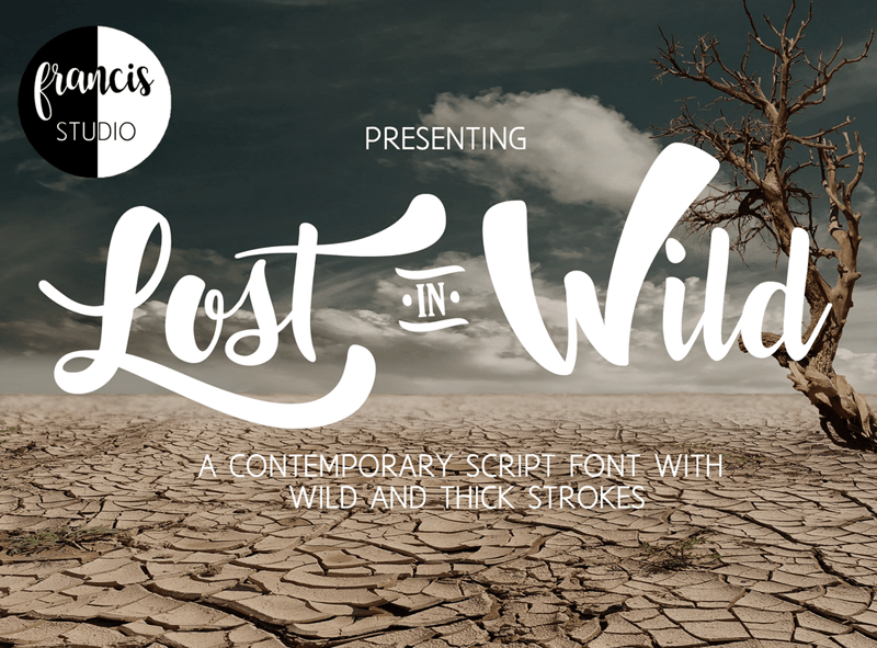 Lost in Wild Font Free