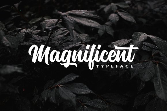 Magnificent Script Font Free