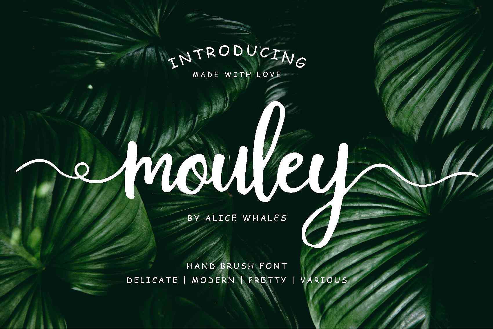 Mouley Script Font