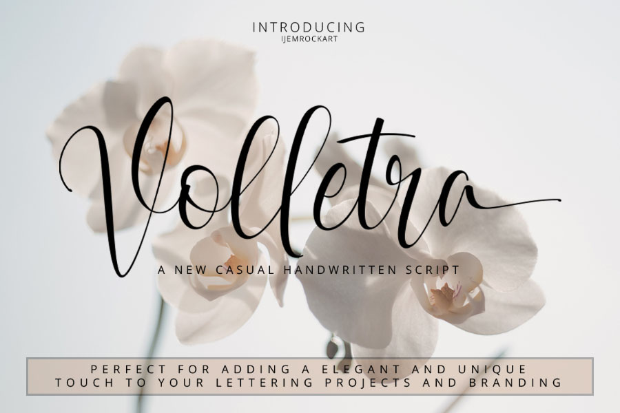 Volletra Script Font Free