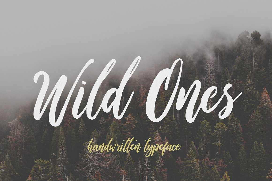 Wild Ones Script Font Free