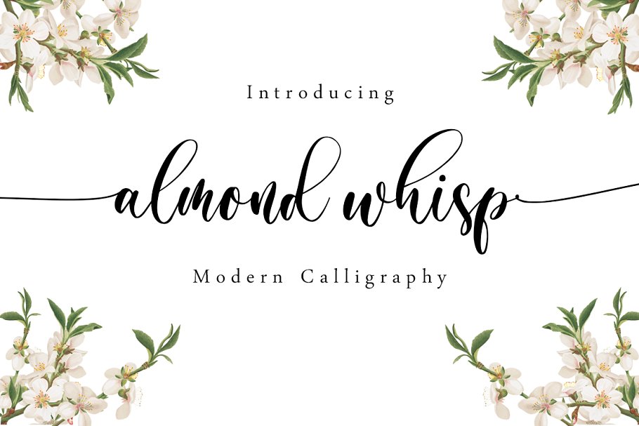 Almond Whisp Modern Calligraphy Font