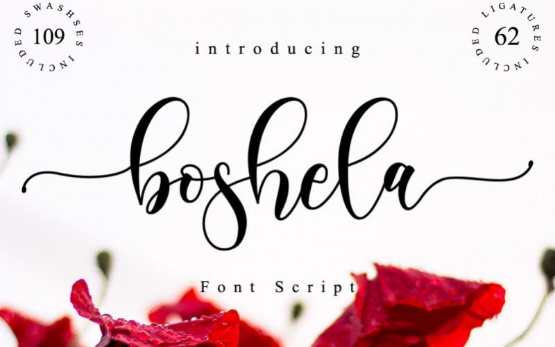 Boshela Calligraphy Font