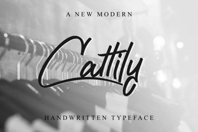 Cattily Calligraphy Font