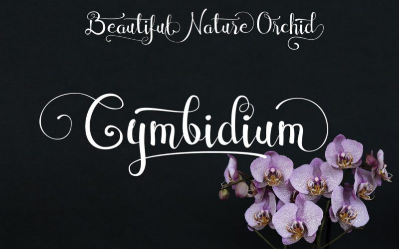 Cymbidium Calligraphy Font