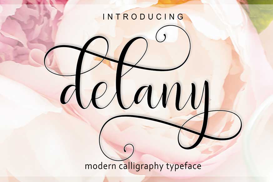 Delany Script Font