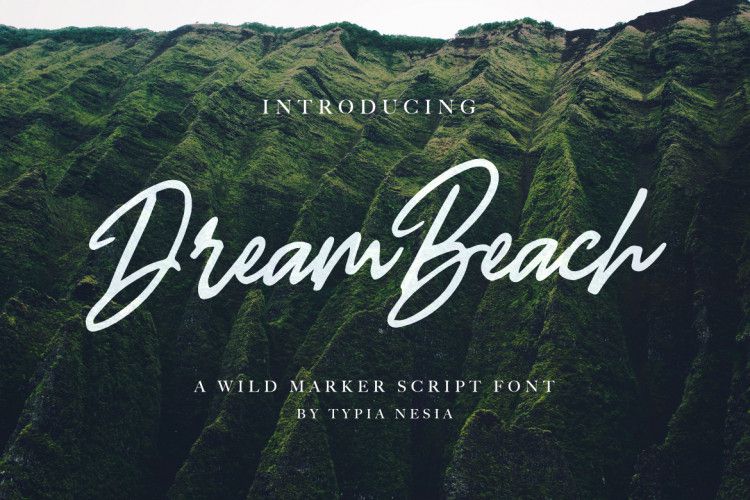 Dream Beach Script Font