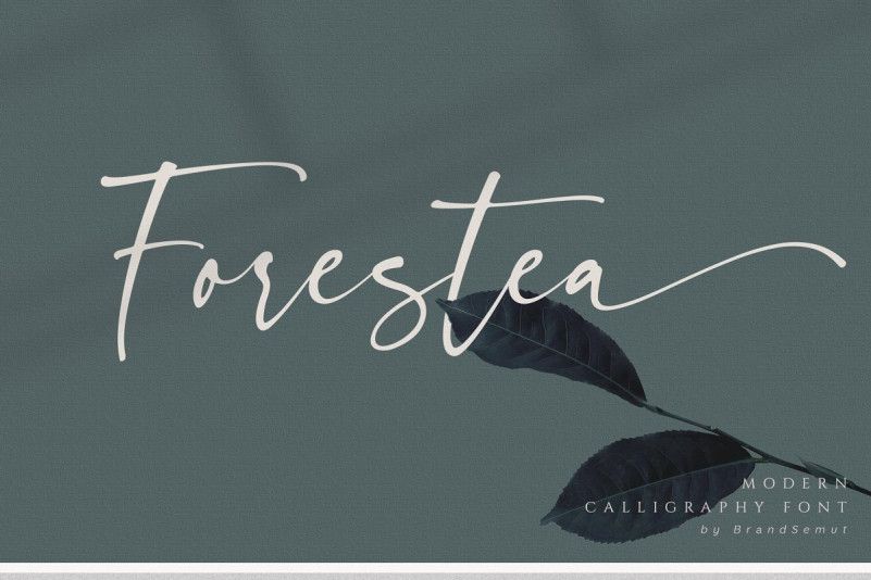Forestea Modern Calligraphy Font