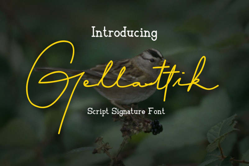 Gellattik Signature Font