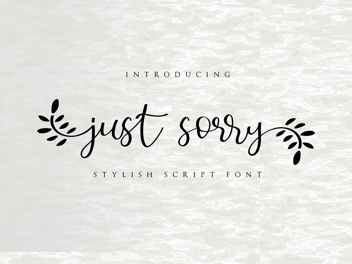 Just Sorry Calligraphy Script Font