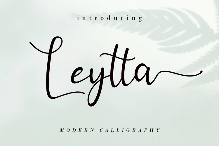 Leytta Modern Calligraphy Font
