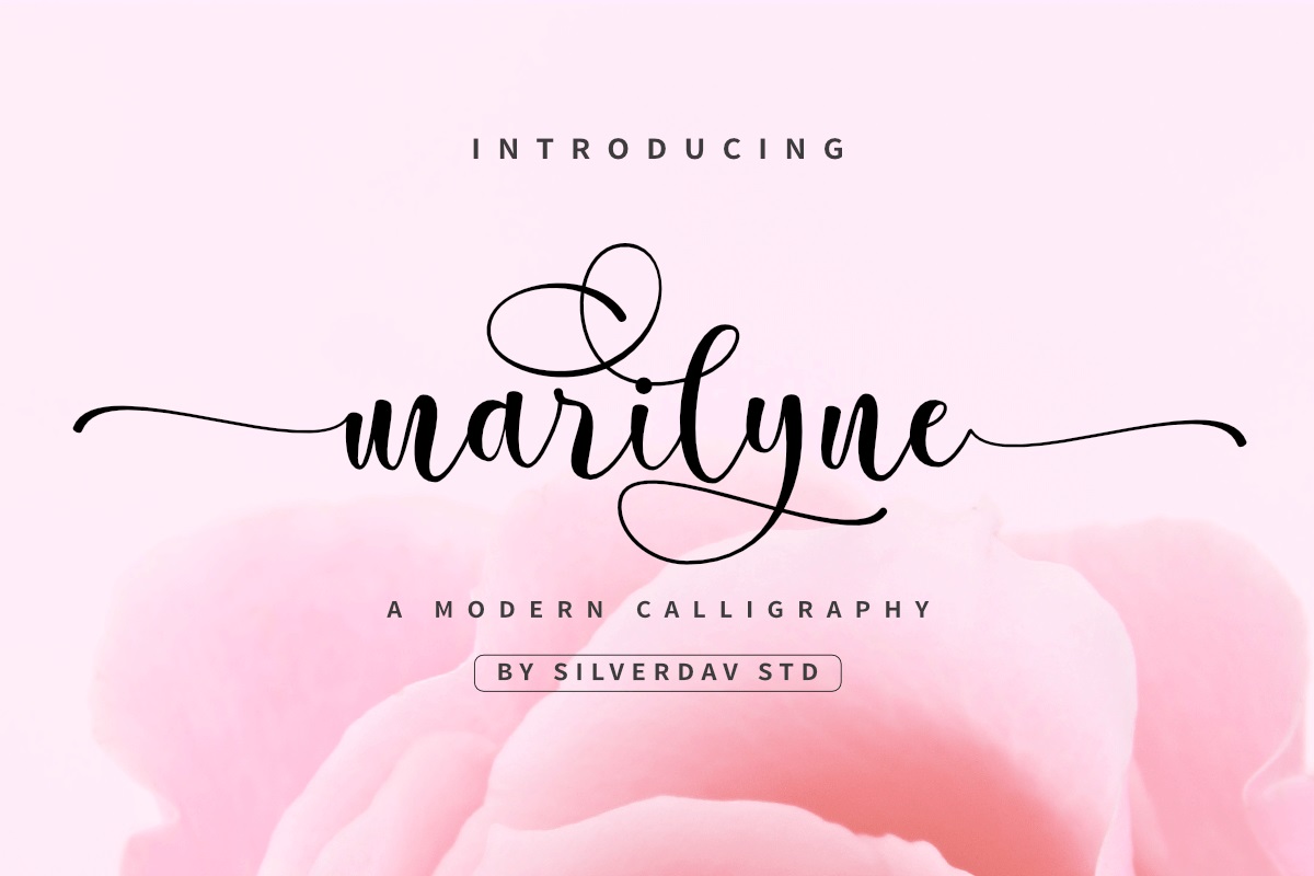 Marilyne Modern Calligraphy Font