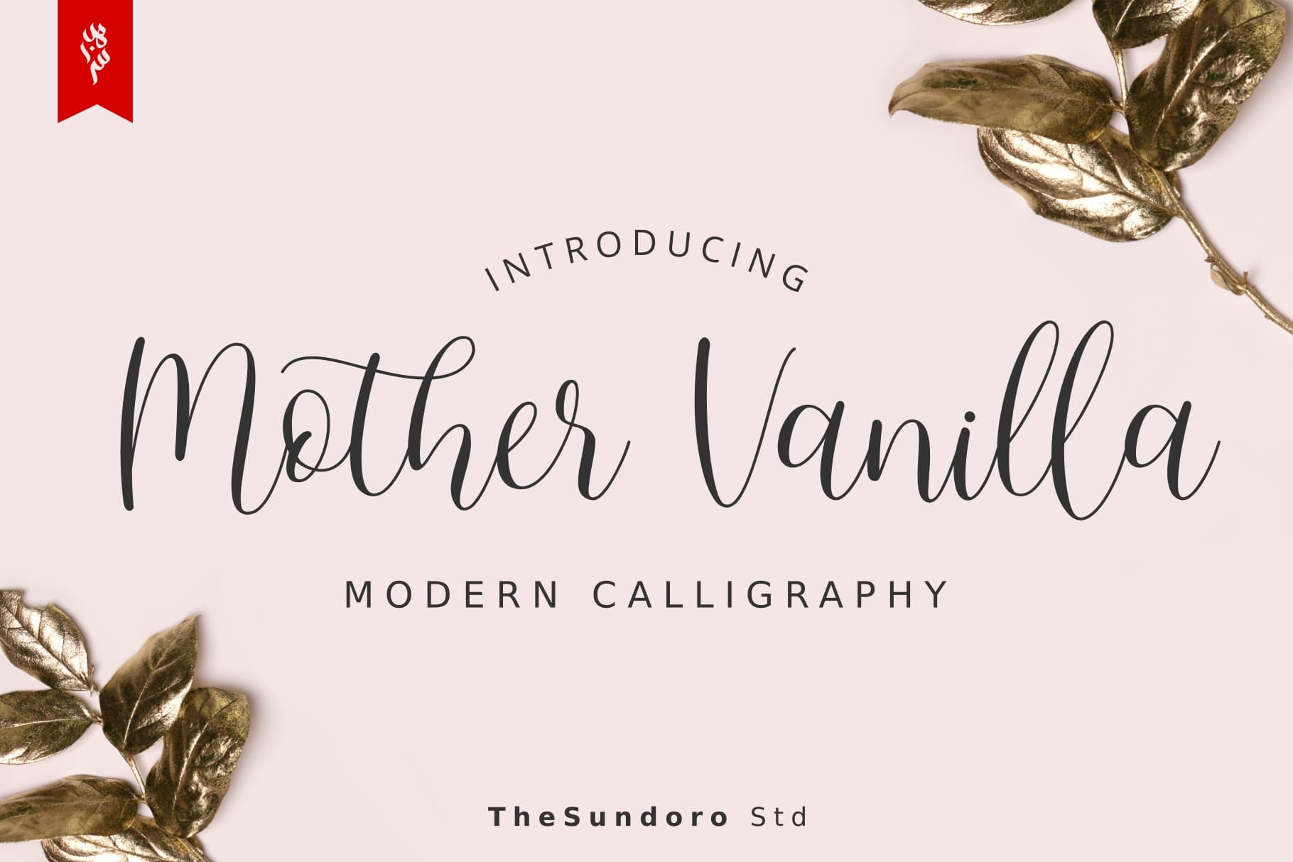 Mother Vanilla Calligraphy Script Font