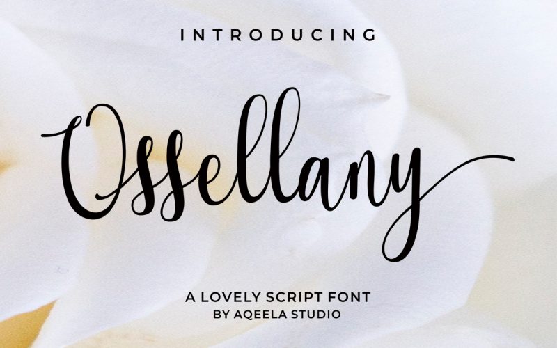 Ossellany Script Font