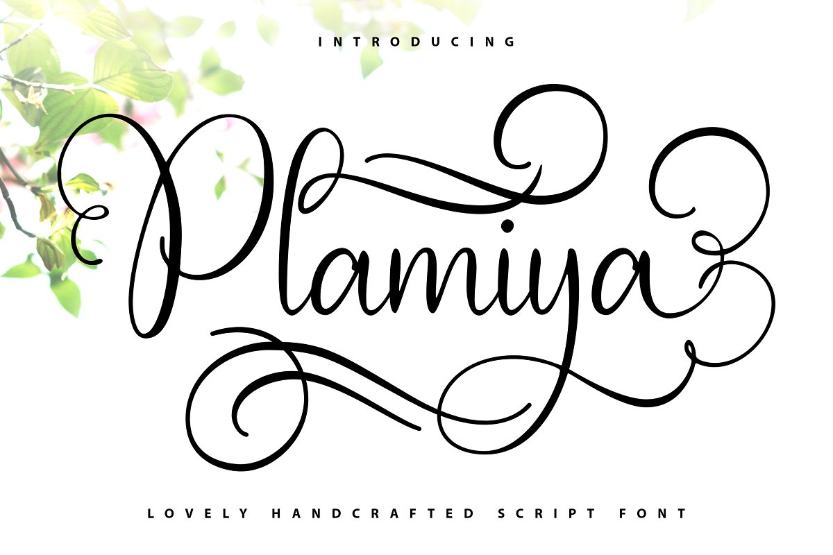 Plamiya Calligraphy Script Font