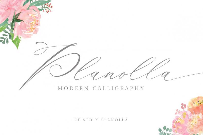 Planolla Calligraphy Font