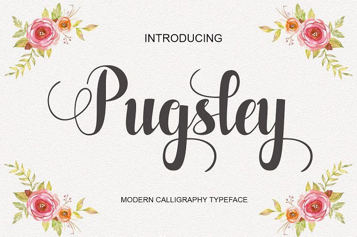 Pugsley Script Font