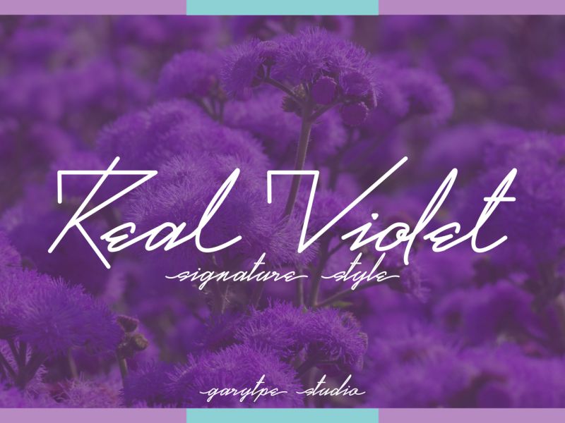Real Violet Handwritten Font